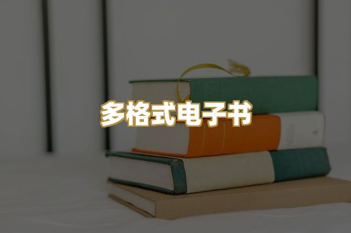 多格式电子书